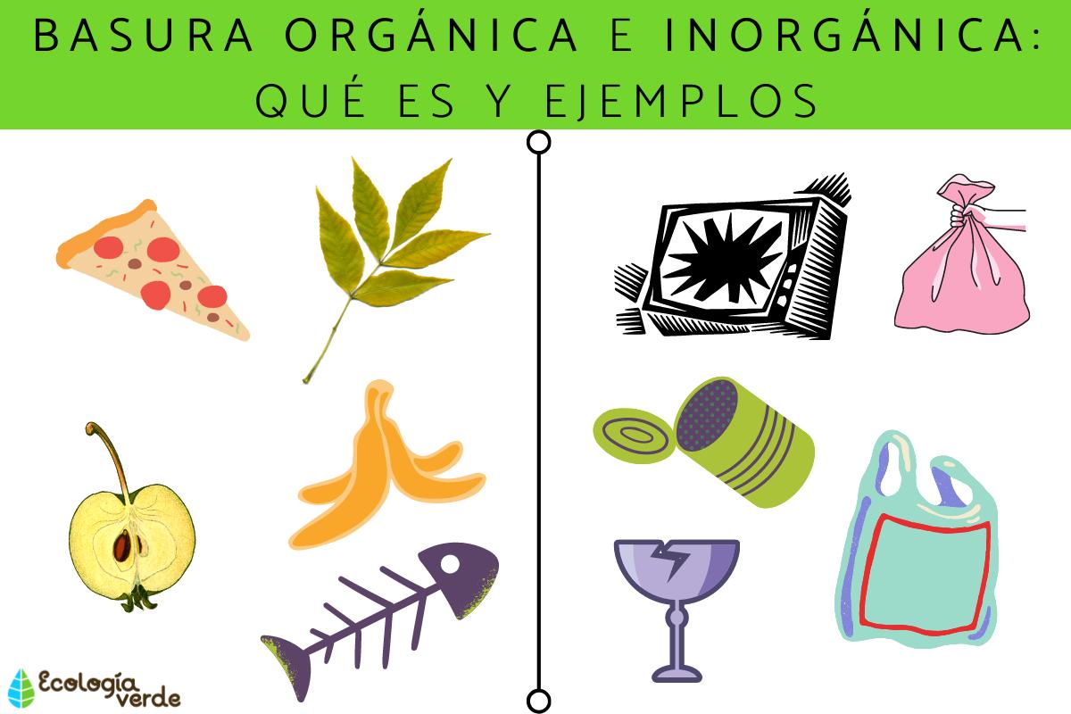 Alimentos Orgánicos E Inorgánicos Mini Manual 1739