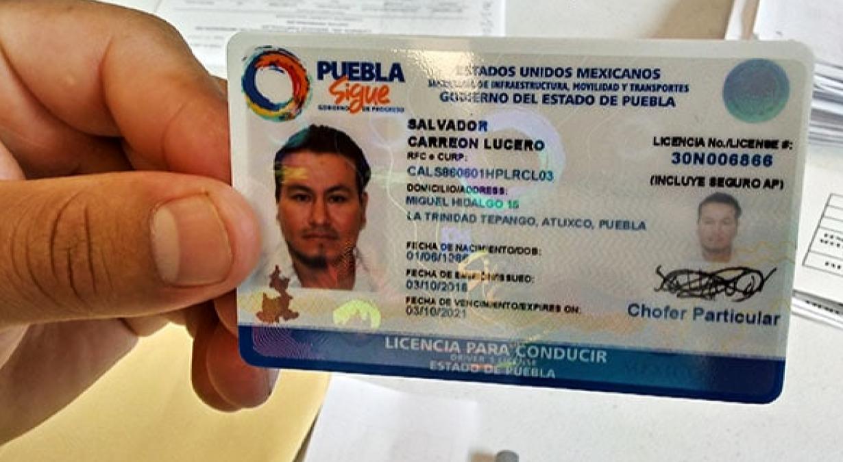 Дэдди зеркало на сегодняшний license casinos. Driver License Мексика.